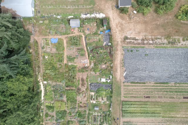 A nadir view of crops and the community garden at The Evergreen State College Organic Farm with the garden layout resembling that of a circuit board.