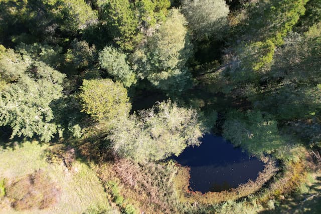 A nadir view of a pond in a clearing in the woods.