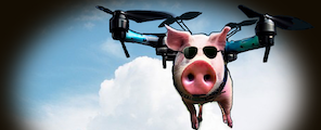 A pig wearing aviator sunglasses is carried by a quadcopter drone against a background of blue sky and a cloud framed by a black circle