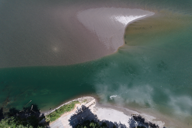 A nadir view of the shore of the Cowlitz River showing a shark tooth-shaped white sandbar glistening beneath the green silty water.