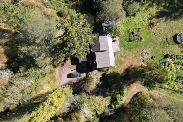 A nadir view of a house in the woods surrounded by lawn and garden, showing the different levels of light that reach each part of the roof.